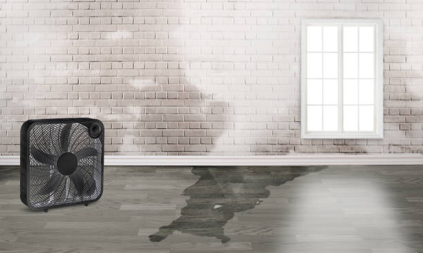 Best 24-hour water damage restoration  in Higginsville, MO