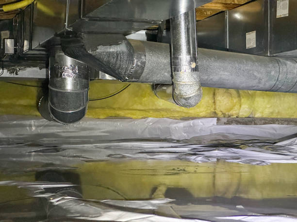 Best Carpet water damage restoration  in Higginsville, MO